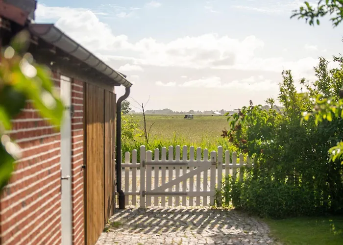 Nordstern Osterhever